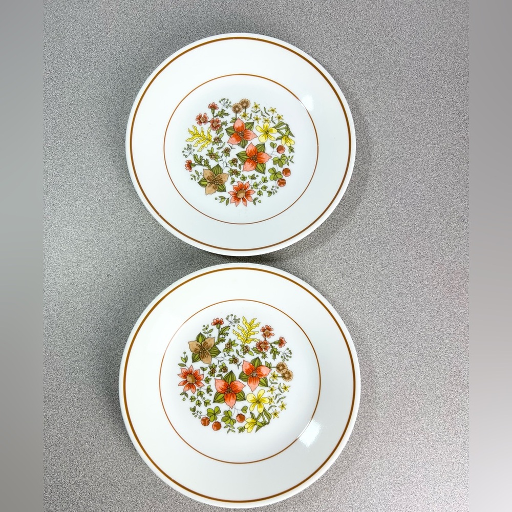 Vintage Corelle Indian Summer bread plates set of‎ 2 floral Fall colors
